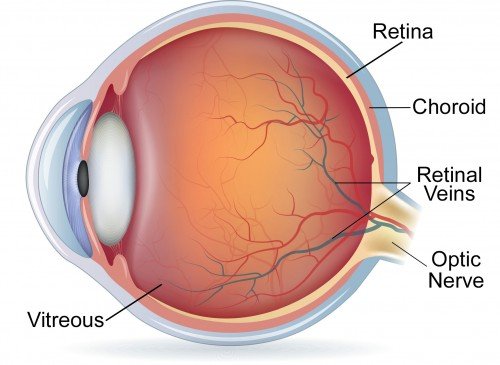 Retina Diseases